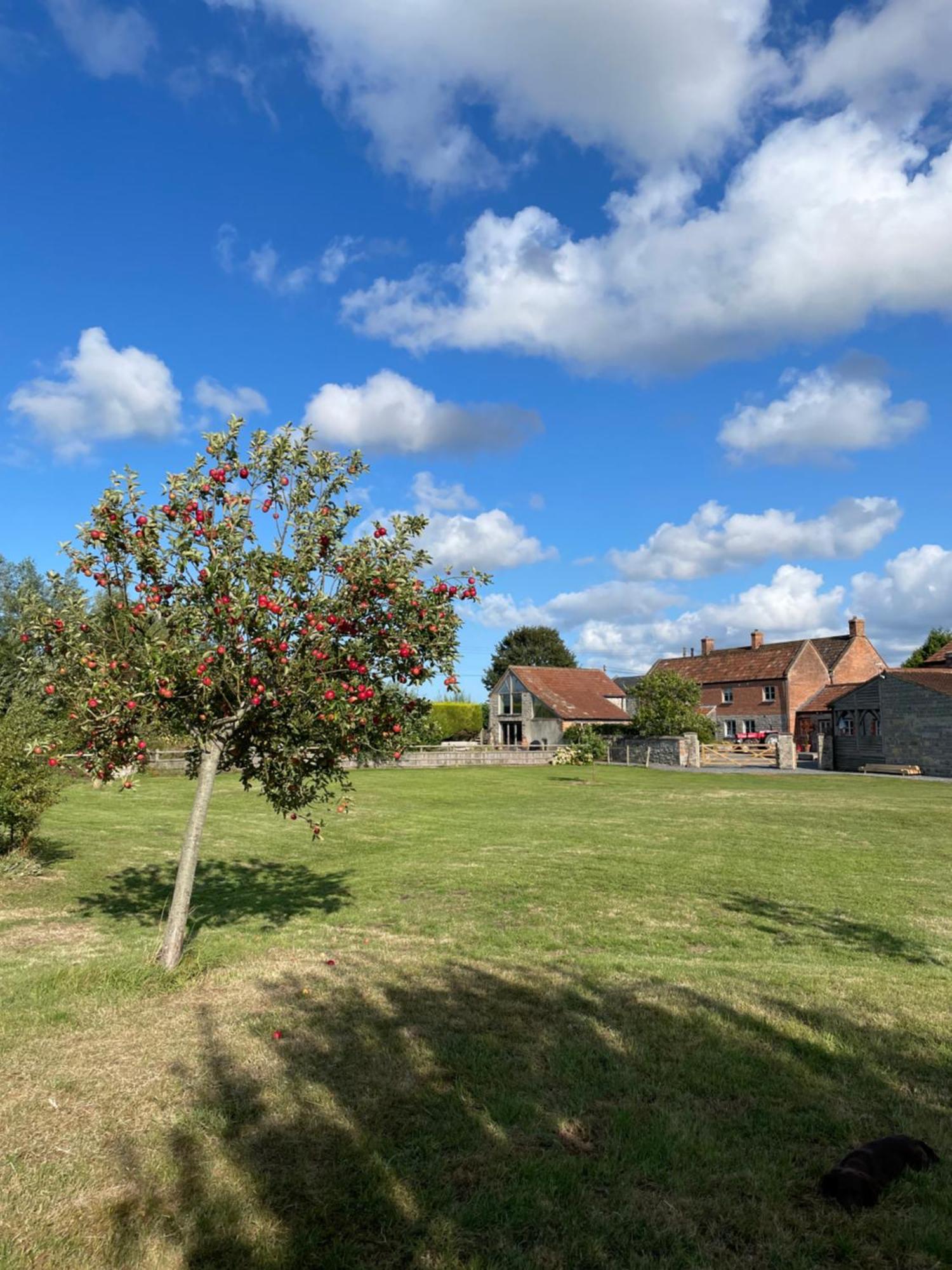 Villa The Hayloft At Stathe Farm Bridgwater Exterior foto