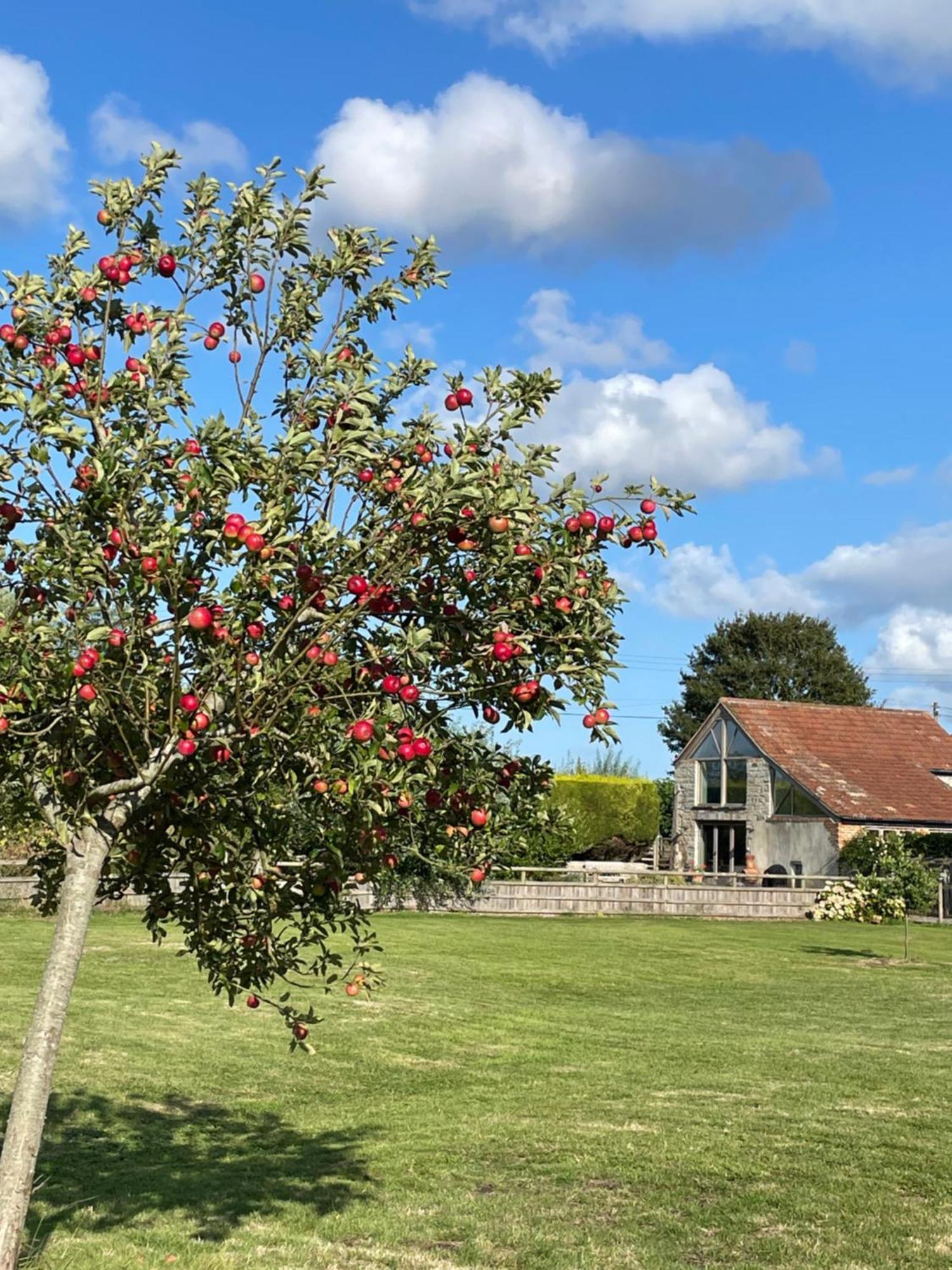 Villa The Hayloft At Stathe Farm Bridgwater Exterior foto